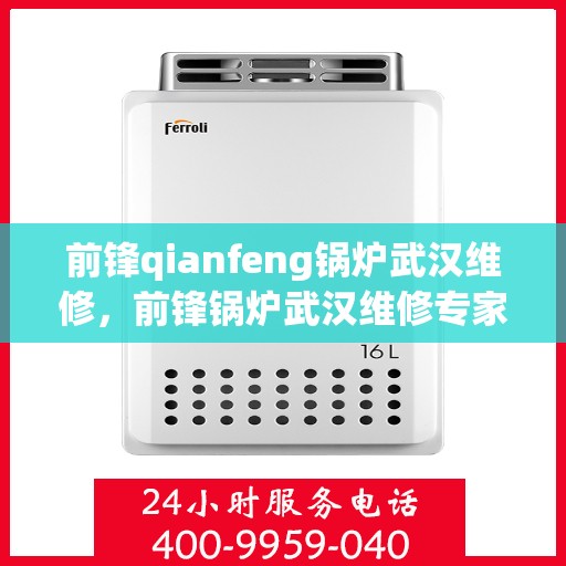 前锋qianfeng锅炉武汉维修，前锋锅炉武汉维修专家团队，专业维修，高效服务